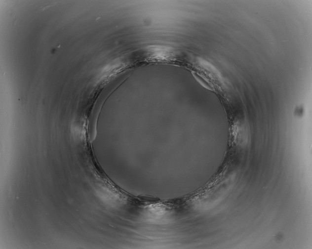 X0000098230423200805081226