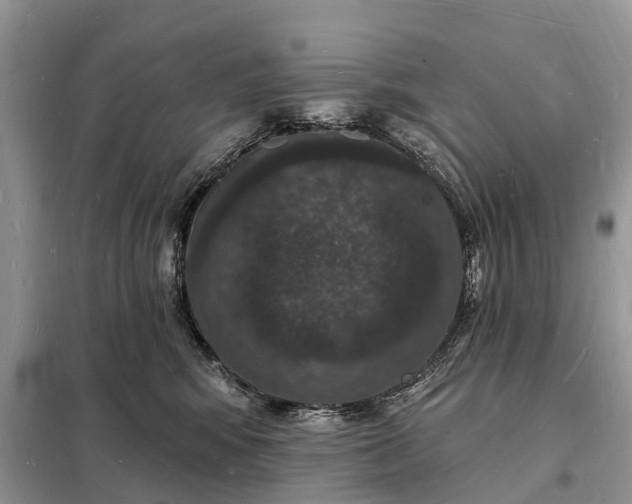 X0000098230424200805081226