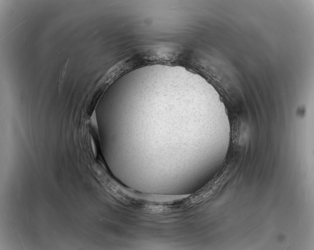 X0000098230425200805081226