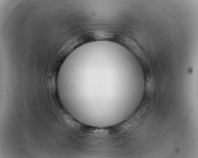 X0000098230426200805081226