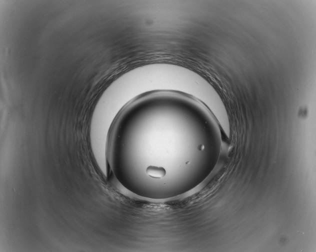 X0000098230427200805081226