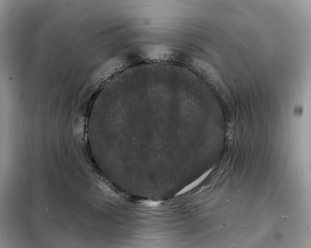 X0000098230428200805081226