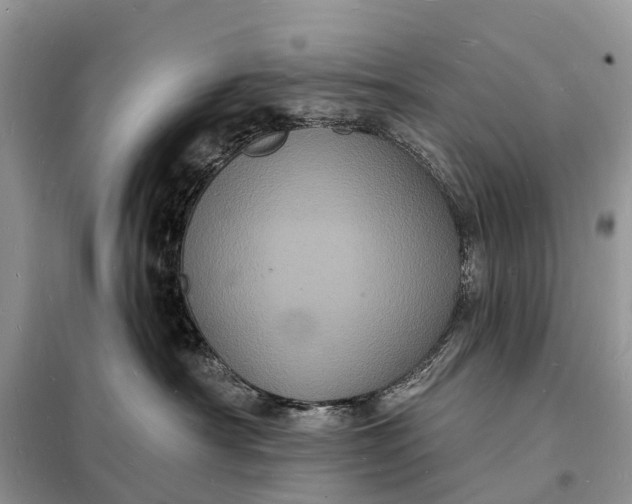 X0000098230430200805081226