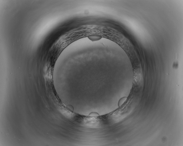 X0000098230431200805081226