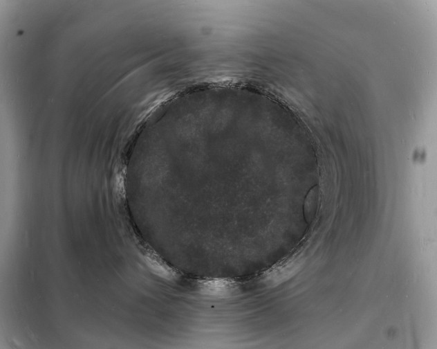 X0000098230432200805081226