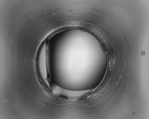 X0000098230436200805081225