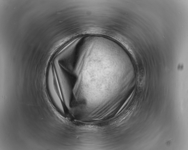 X0000098230437200805081225