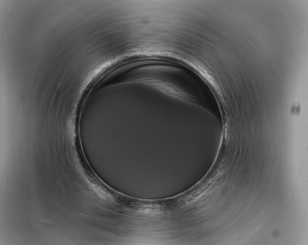 X0000098230438200805081225