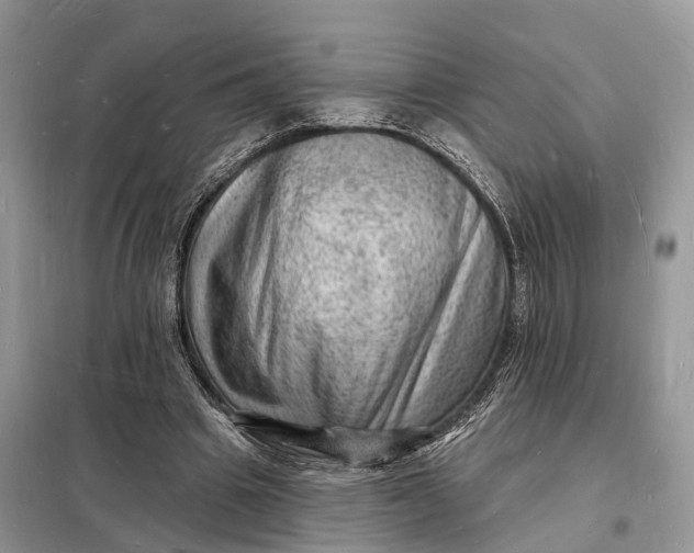 X0000098230441200805081225