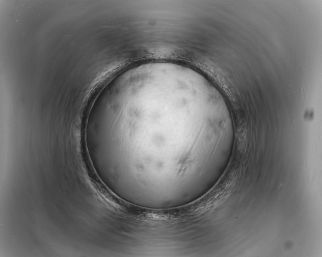 X0000098230442200805081225