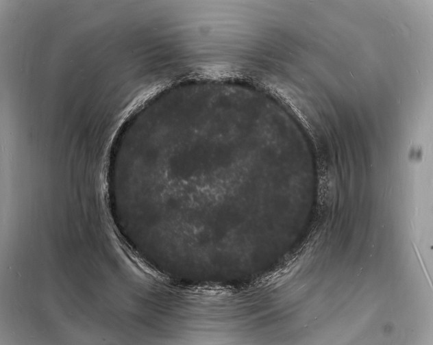 X0000098230443200805081225