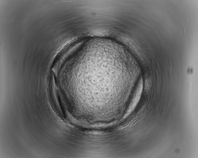 X0000098230444200805081225