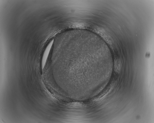 X0000098230449200805081226