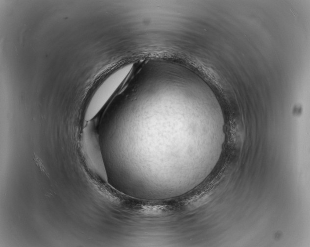 X0000098230450200805081226