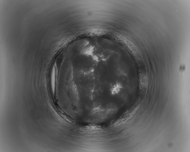 X0000098230451200805081226