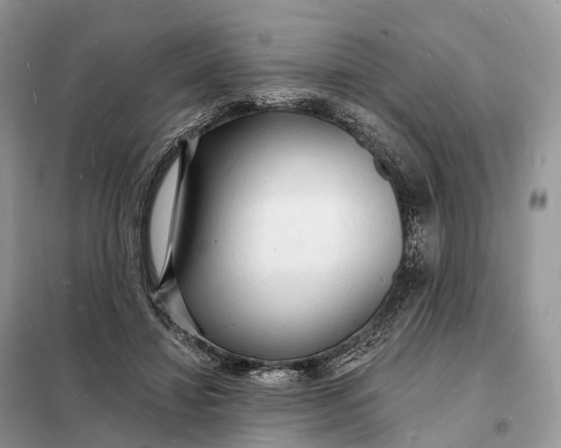 X0000098230452200805081226