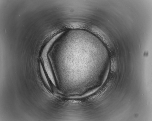 X0000098230453200805081226