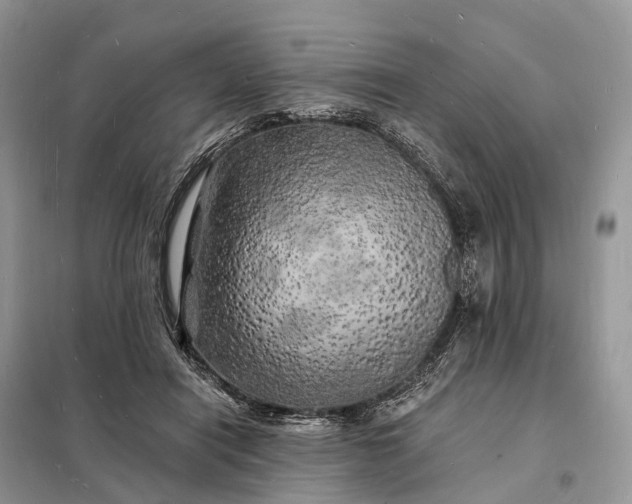 X0000098230454200805081226