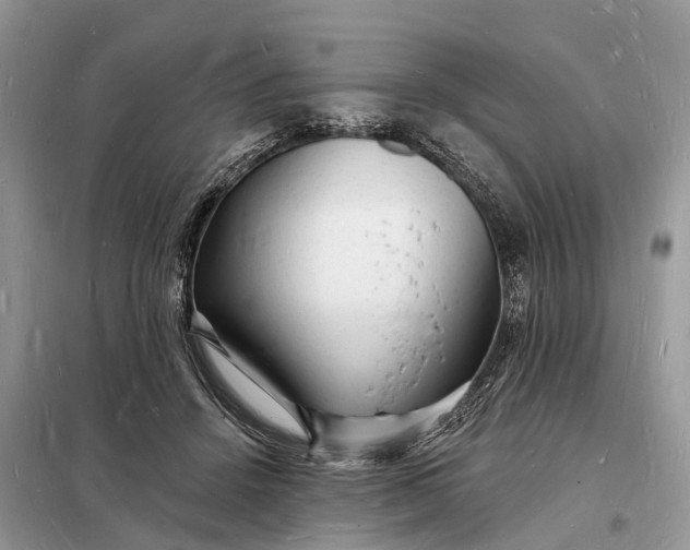 X0000098230456200805081226