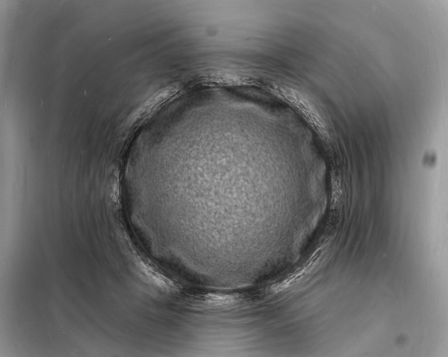 X0000098230457200805081226