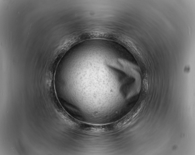 X0000098230458200805081226