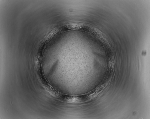 X0000098230460200805081226