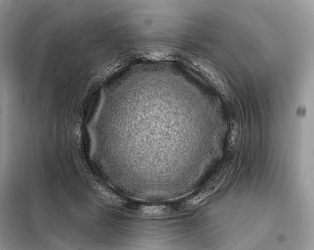 X0000098230461200805081226