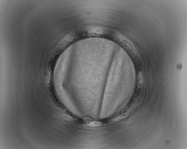 X0000098230463200805081226