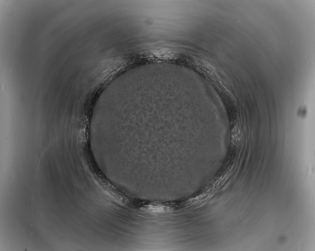 X0000098230464200805081226