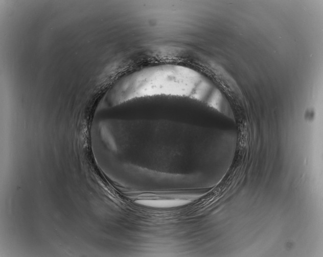 X0000098230465200805081226