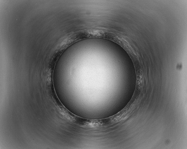 X0000098230466200805081226