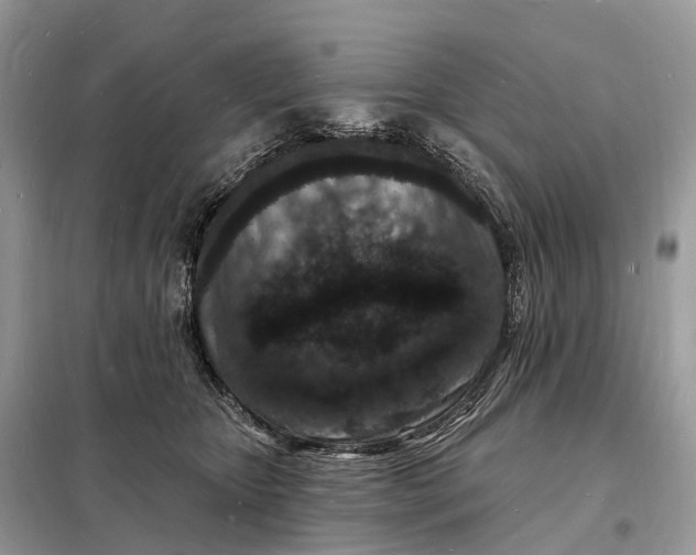 X0000098230467200805081226