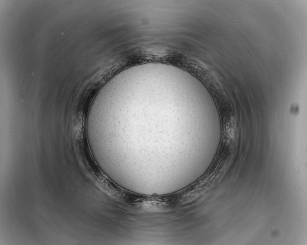 X0000098230468200805081226