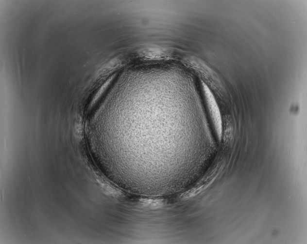 X0000098230469200805081226