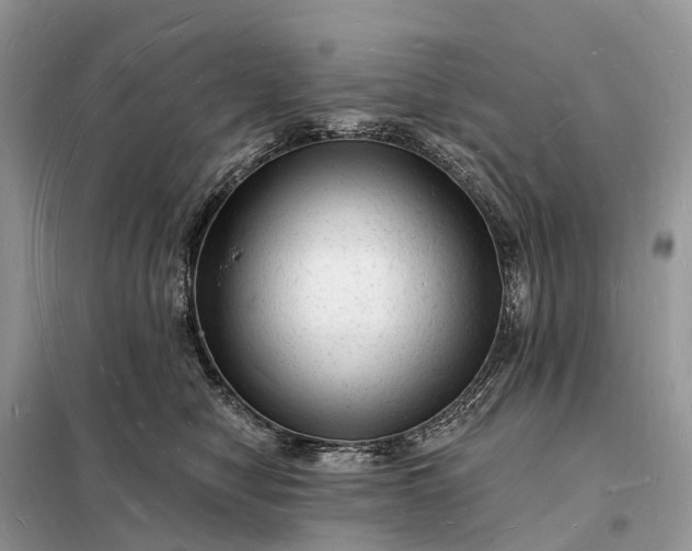 X0000098230470200805081226