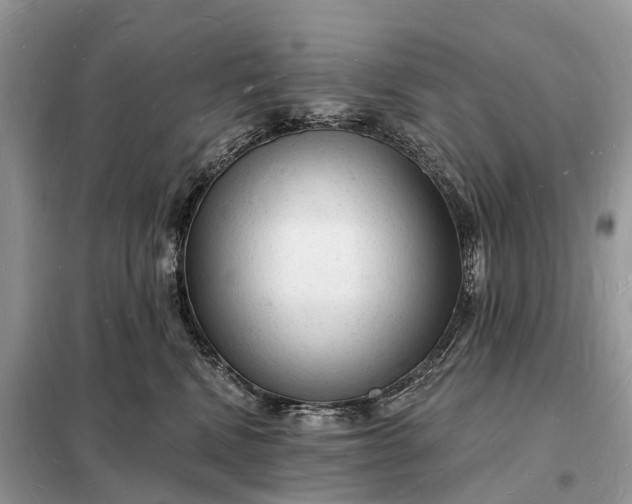 X0000098230472200805081226