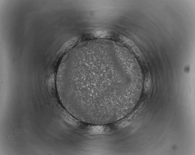 X0000098230473200805081226