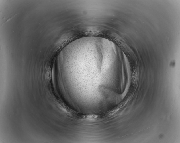 X0000098230474200805081226