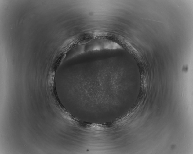 X0000098230475200805081226