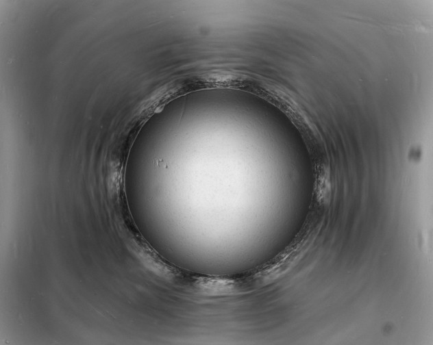 X0000098230476200805081226