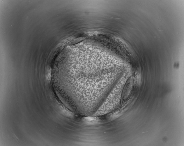 X0000098230477200805081226