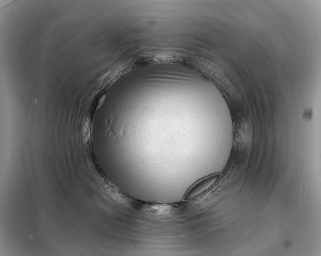 X0000098230478200805081226