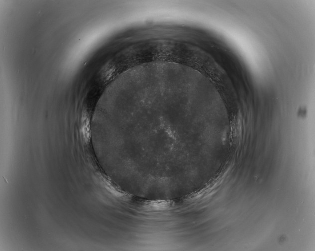 X0000098230479200805081226