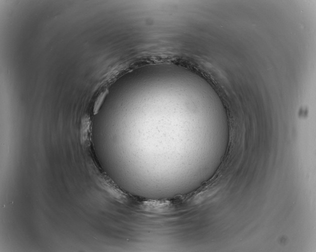 X0000098230480200805081226