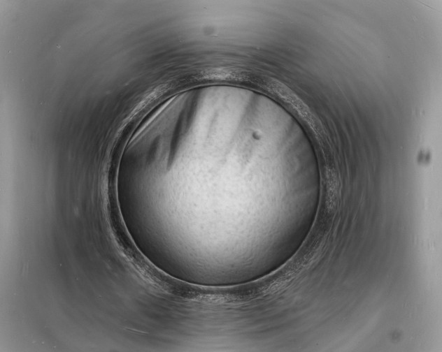 X0000098230482200805081225