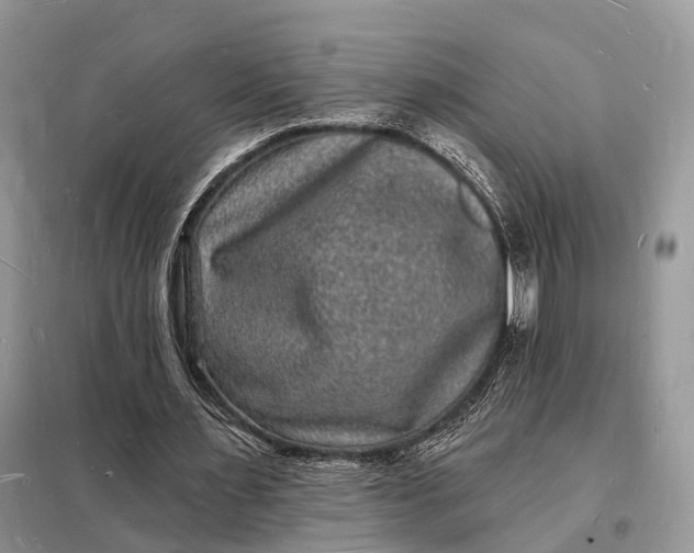 X0000098230483200805081225