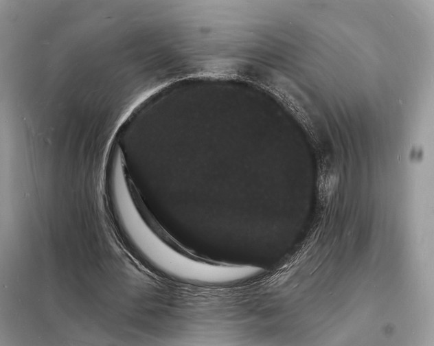 X0000098230484200805081225