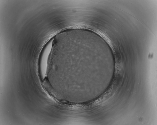 X0000098230485200805081225