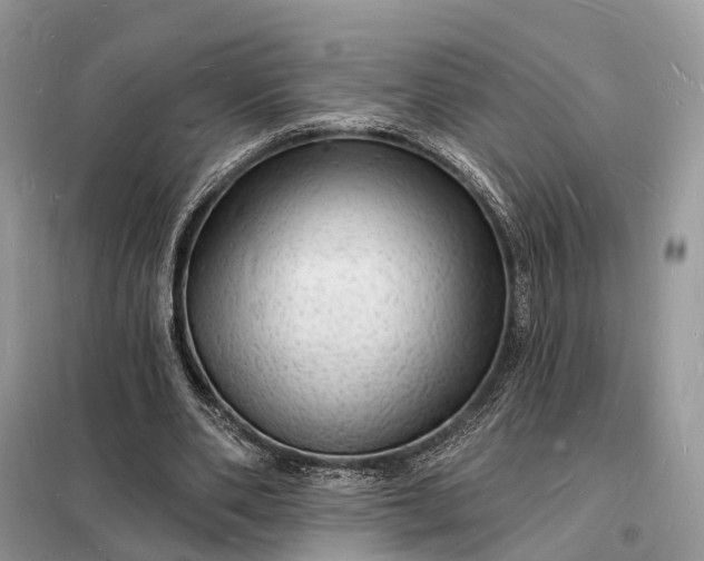 X0000098230486200805081225