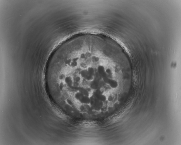 X0000098230487200805081225